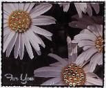 All Occasion Cards (click image to view slideshow catalog)